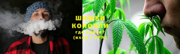 меф Арсеньев