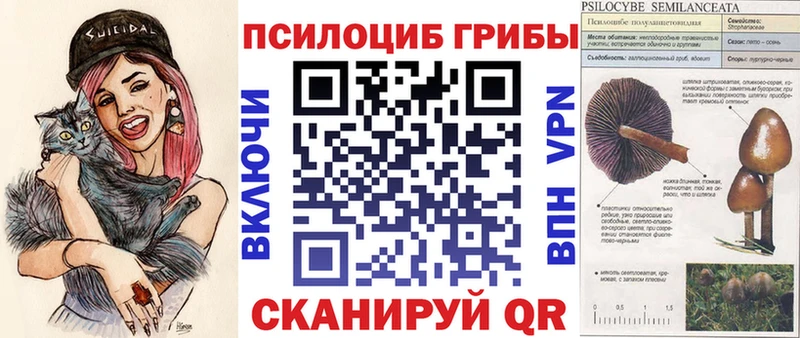 Псилоцибиновые грибы Psilocybine cubensis  MEGA как войти  Зеленоградск 
